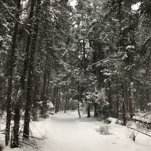 Meet your Posher, Kaesy